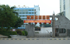 廣西壯族自治區百色民族高中